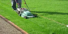 Garden Maintenance Services in Dubai