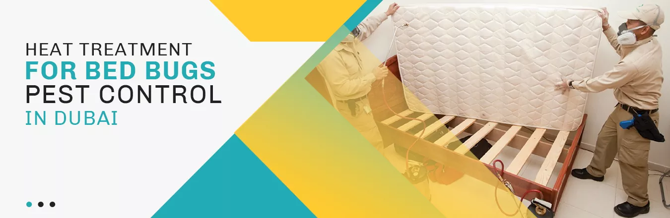  Heat Treatment for Bed Bugs Pest Control in Dubai 