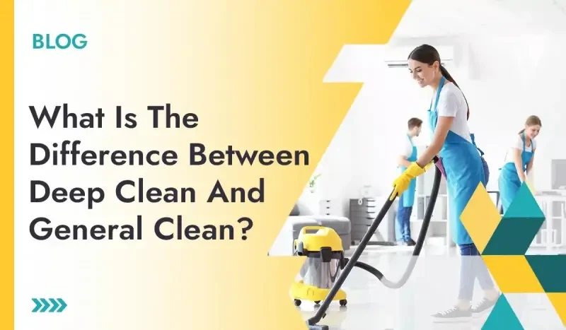Deep Clean And General Clean