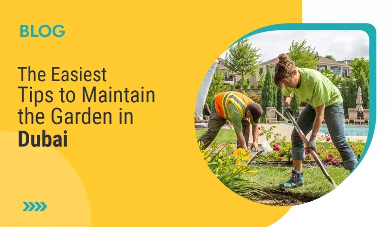 Easiest Tips to Maintain the Garden in Dubai