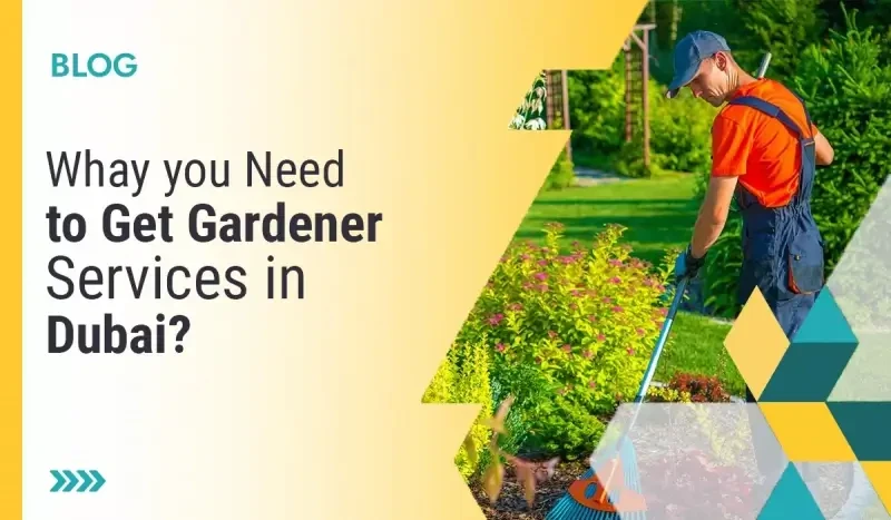 Get Gardener Services in Dubai
